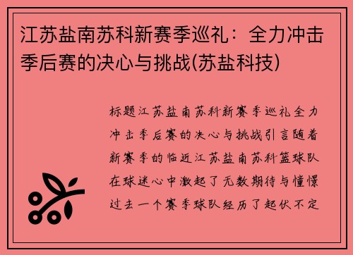 江苏盐南苏科新赛季巡礼：全力冲击季后赛的决心与挑战(苏盐科技)